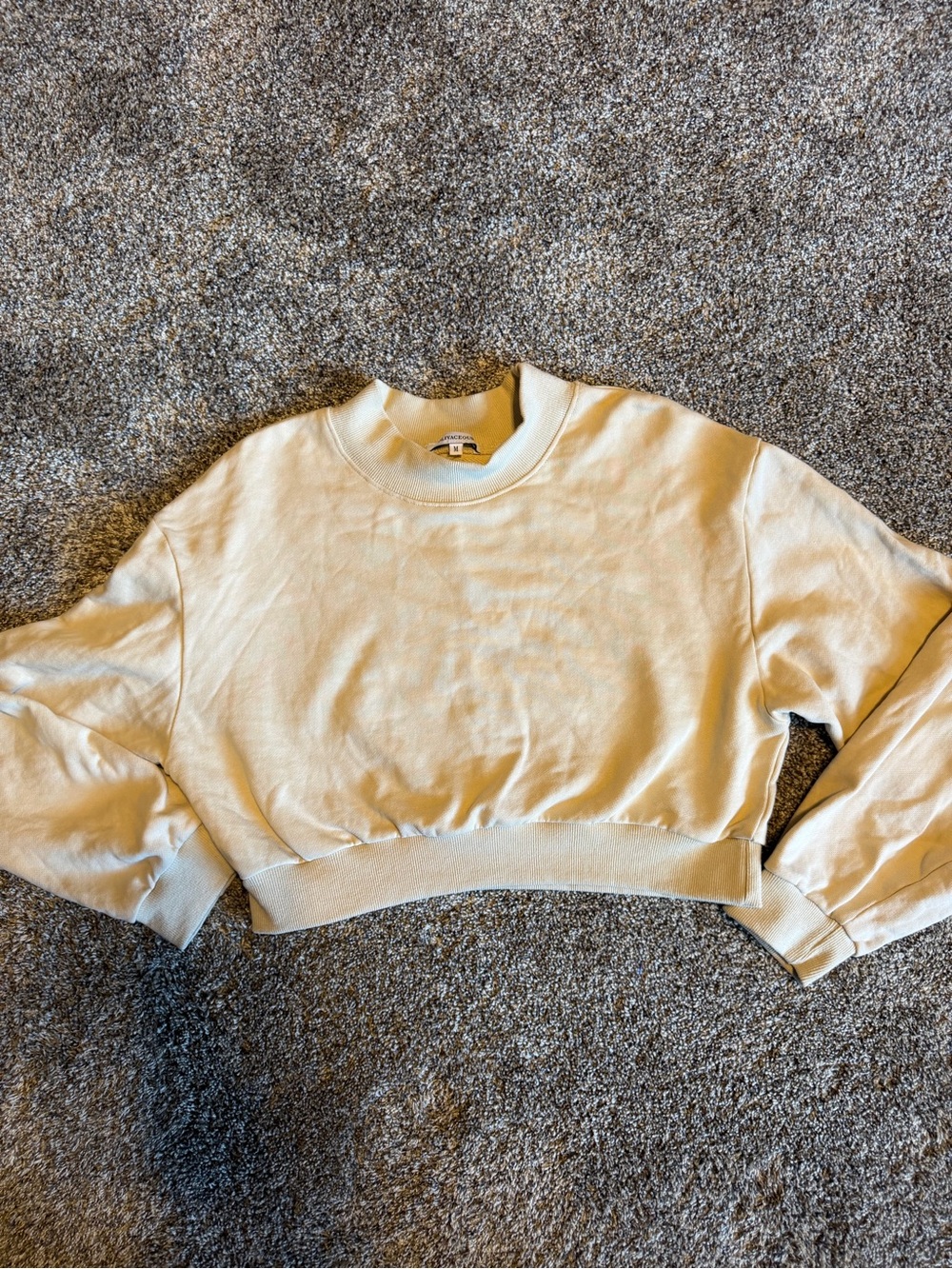 Olivaceous Cropped Cream Crewneck Sweater